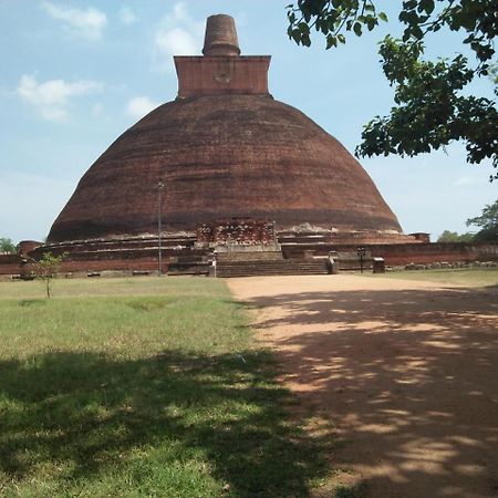 Coconut Park Bed & Breakfast Anuradhapura Exterior photo
