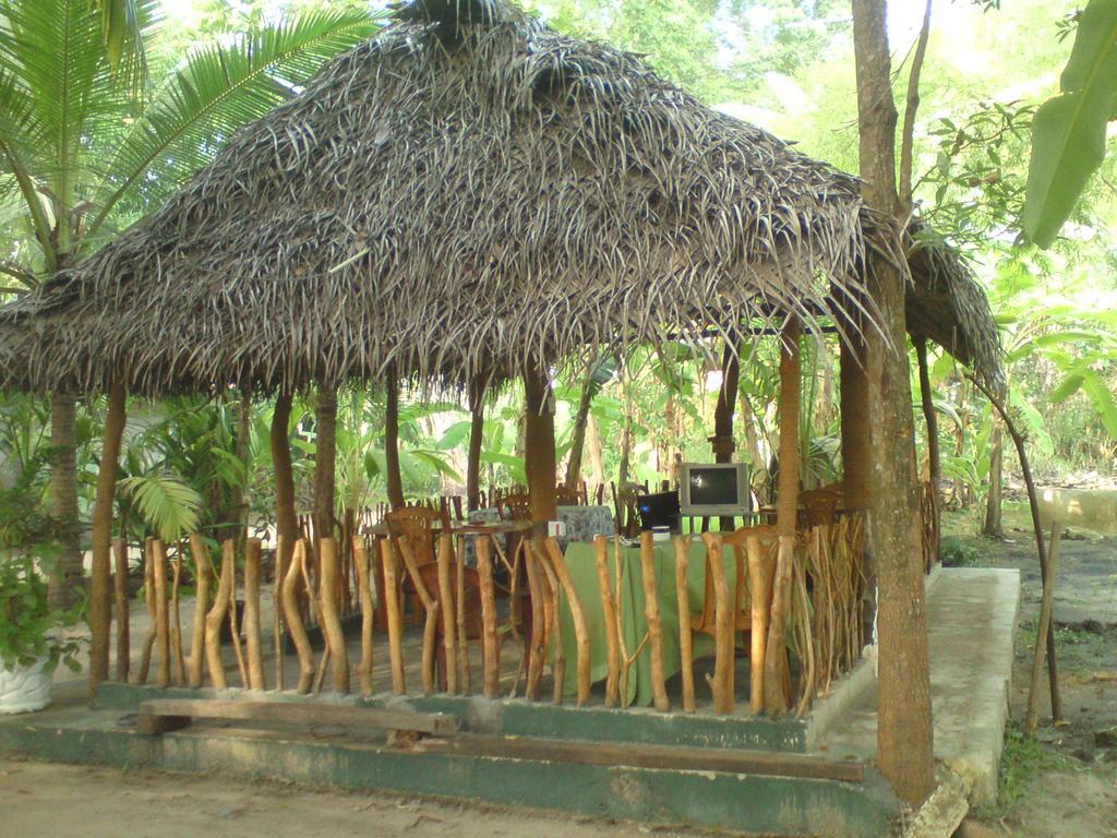 Coconut Park Bed & Breakfast Anuradhapura Exterior photo