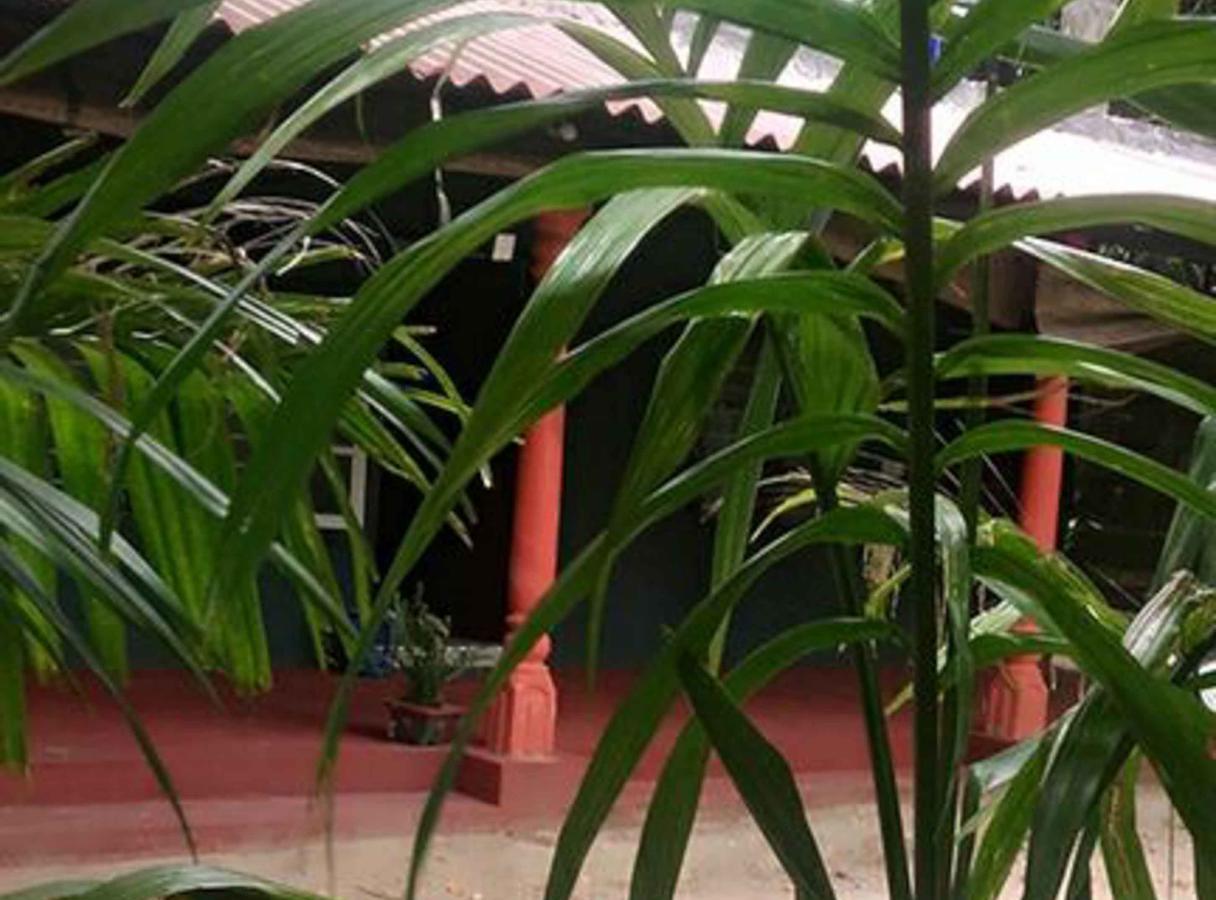 Coconut Park Bed & Breakfast Anuradhapura Exterior photo